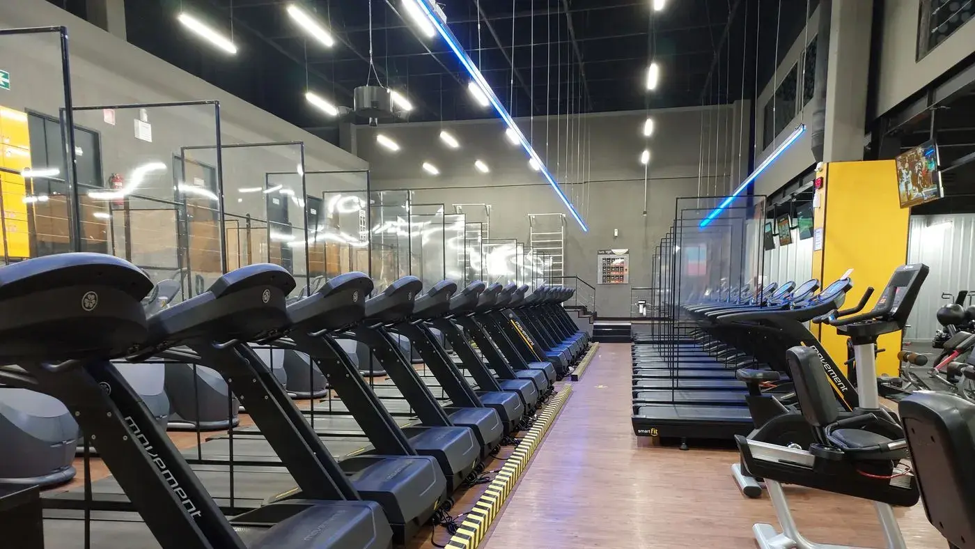 Filas de caminadoras y bicicletas estáticas en un gimnasio amplio y sin personas: imagen para la guía de la prueba de esfuerzo